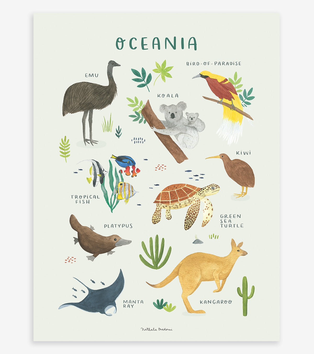 TERRA VIVENTE - Poster per bambini - Animali dell'Oceania