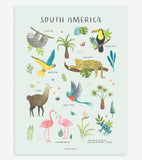 TERRA VIVA - Poster per bambini - Animali del Sud America