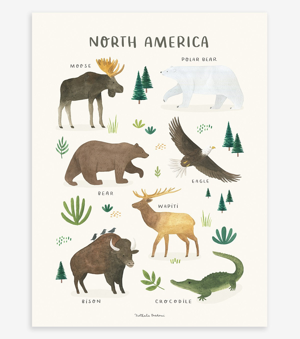 TERRA VIVENTE - Poster per bambini - Animali del Nord America