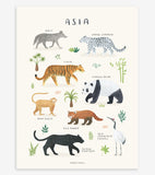 TERRA VIVENTE - Poster per bambini - Animali asiatici