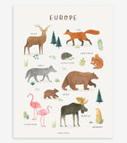 TERRA VIVA - Poster per bambini - Animali d'Europa