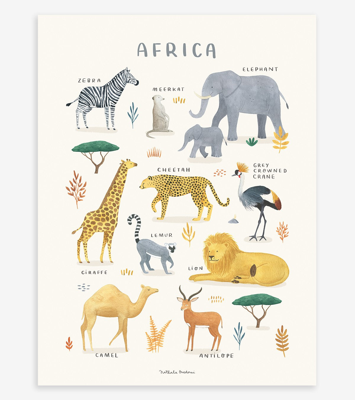 TERRA VIVA - Poster per bambini - Animali africani