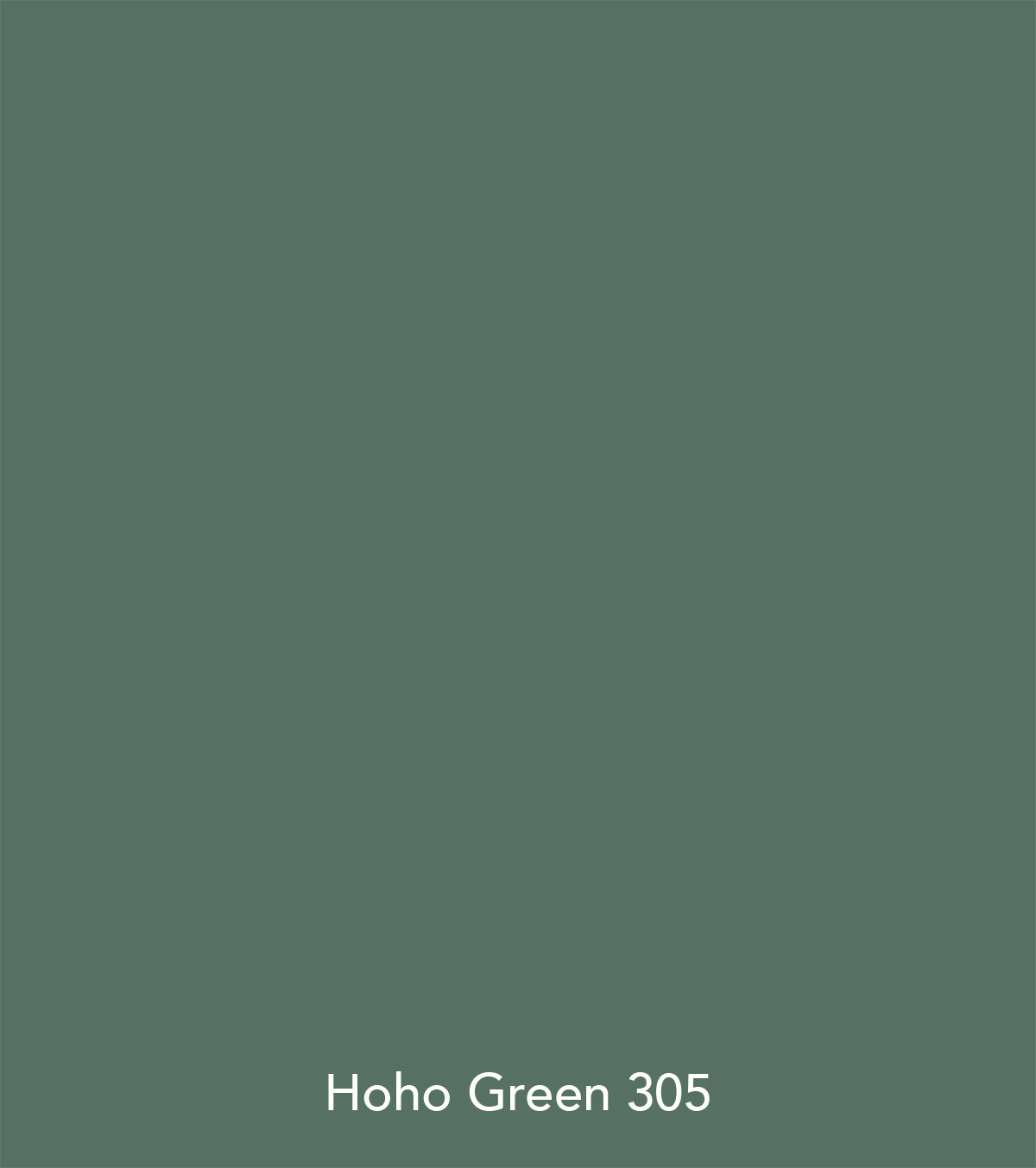 Vernice Little Greene - Verde Hoho (305)