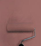 Pittura Little Greene - Ceneri di rose (6)