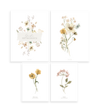 MADEMOISELLE - Set di 4 Posters - Fiori botanici