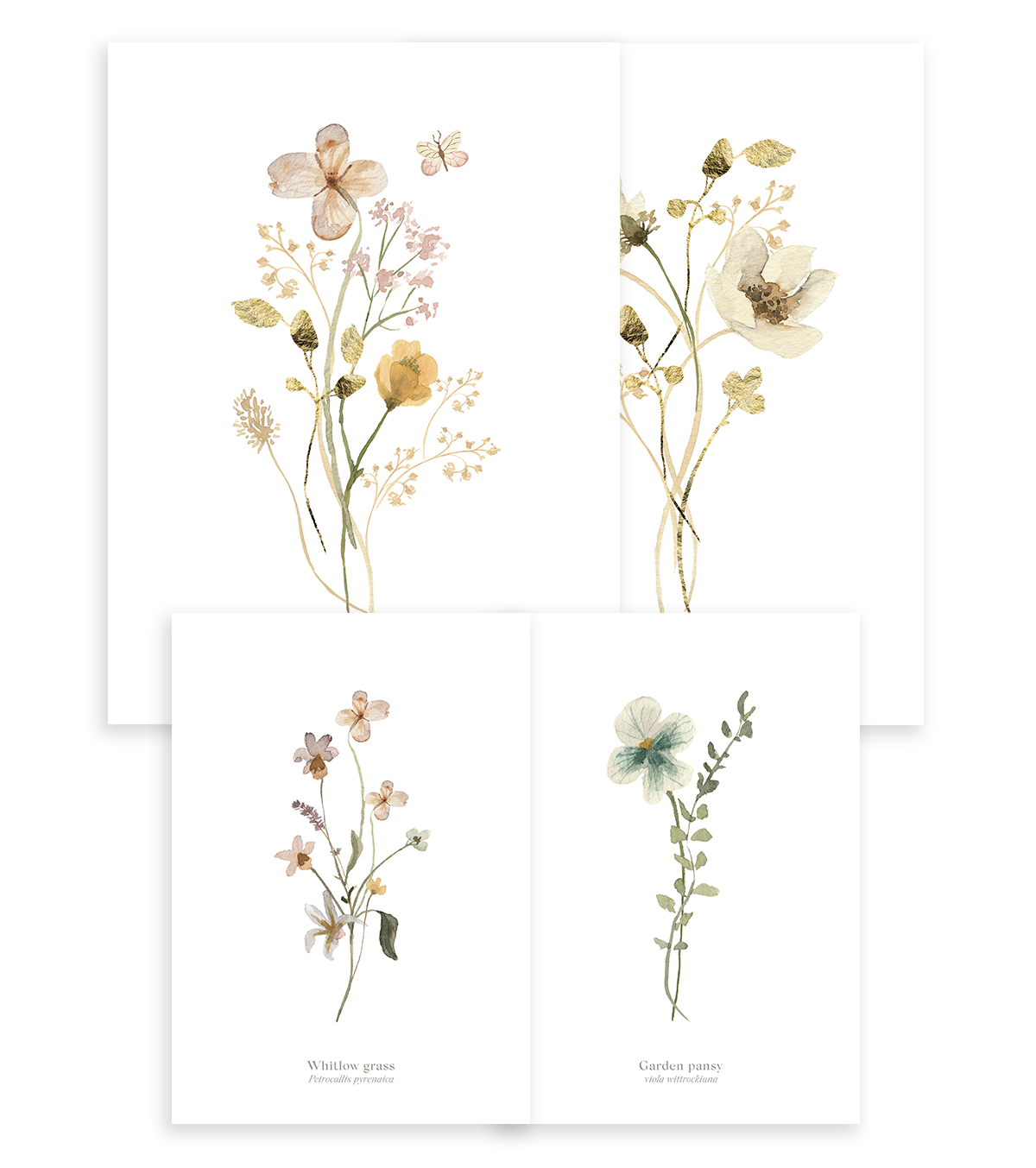 MADEMOISELLE - Set di 4 Posters - Fiori botanici