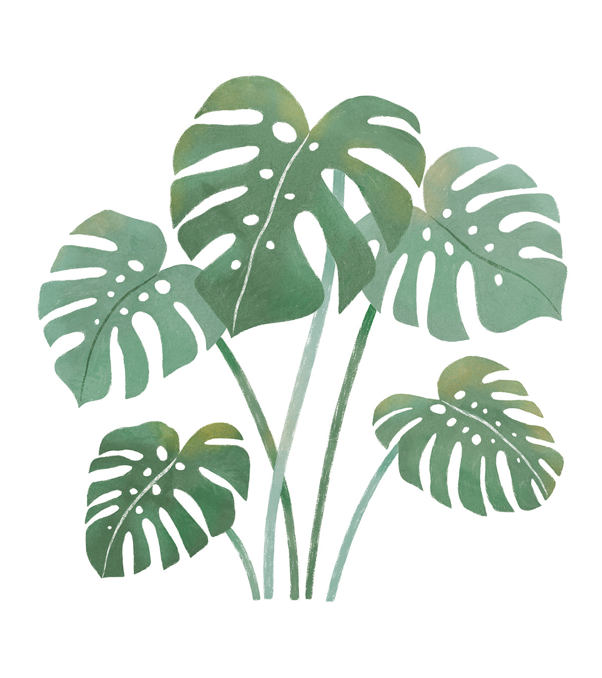 Adesivi murali YATSUNI - - Foglia di Monstera