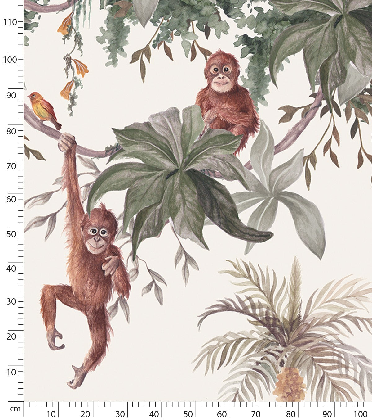 UTAN - Carta da parati panoramica - Le scimmie
