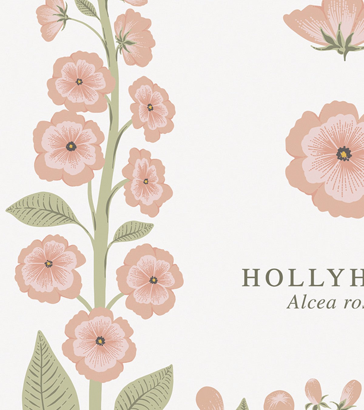 I fiori di campo - Poster per bambini - Hollyhocks