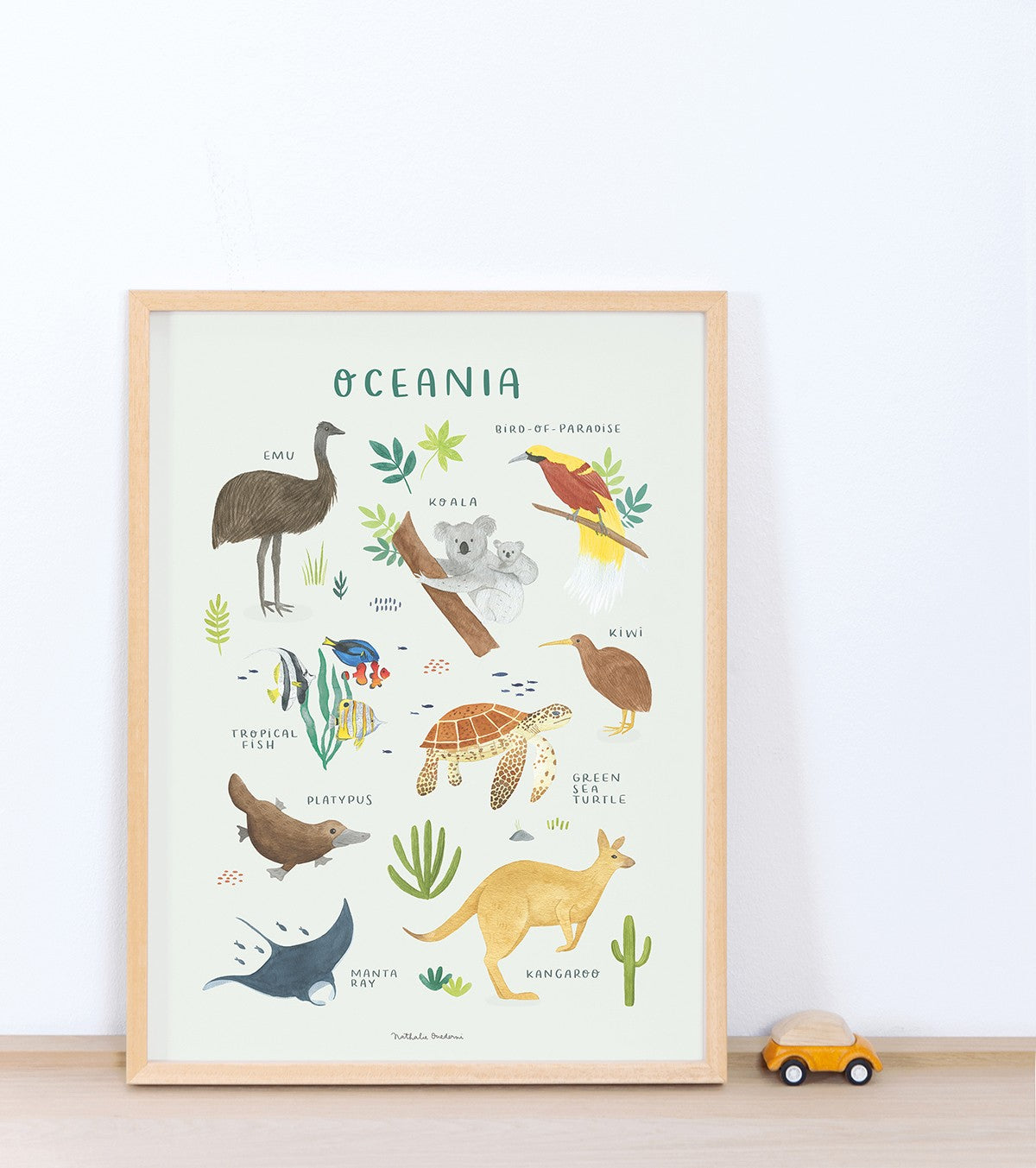TERRA VIVENTE - Poster per bambini - Animali dell'Oceania