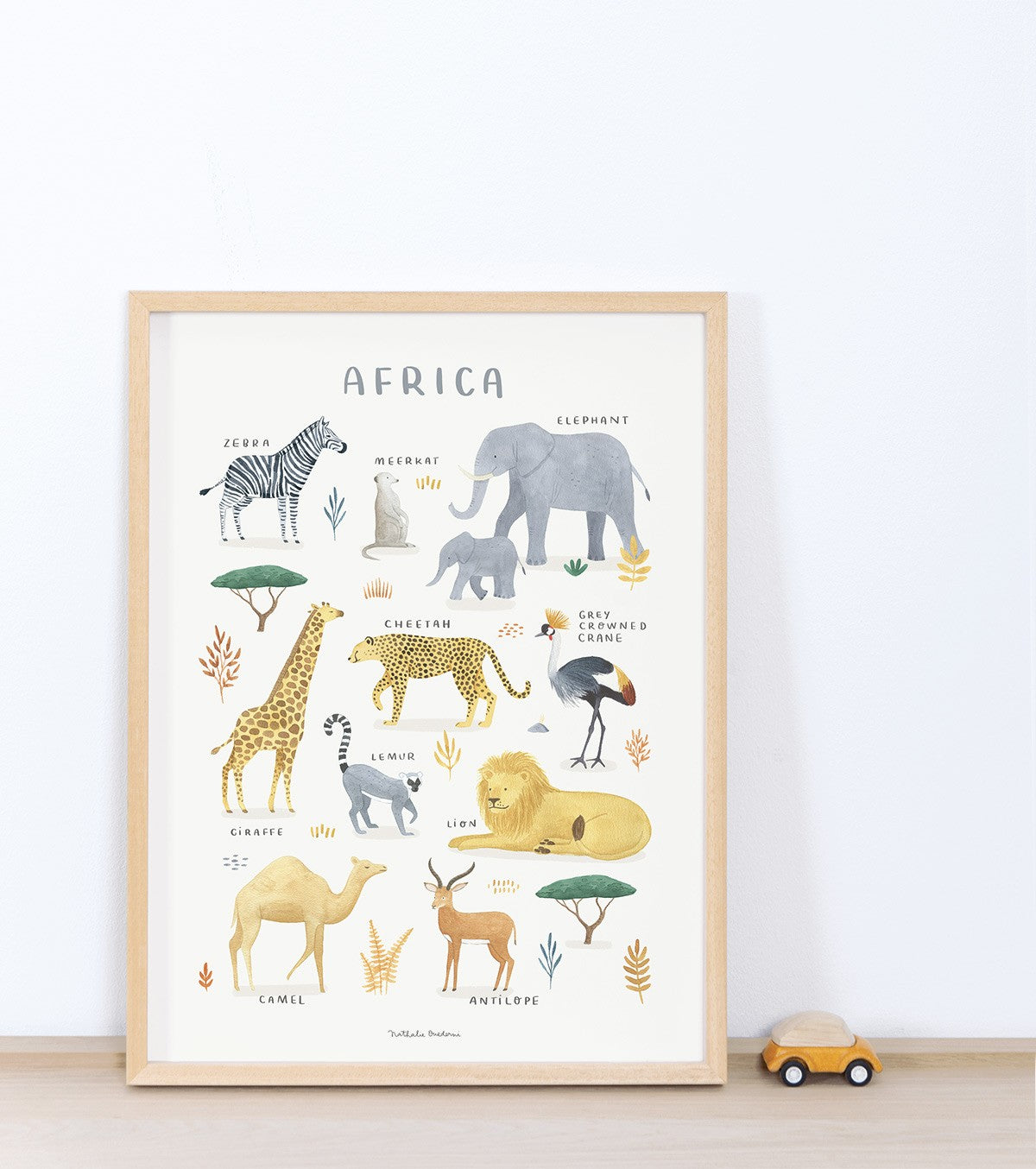 TERRA VIVA - Poster per bambini - Animali africani