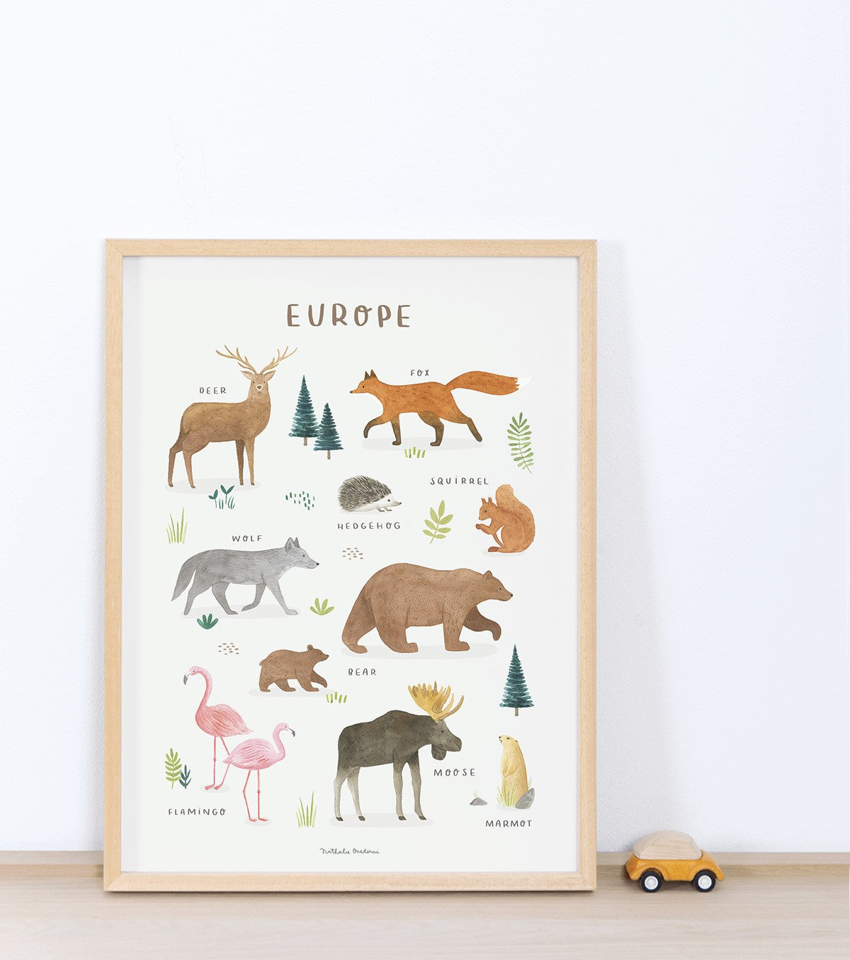 TERRA VIVA - Poster per bambini - Animali d'Europa