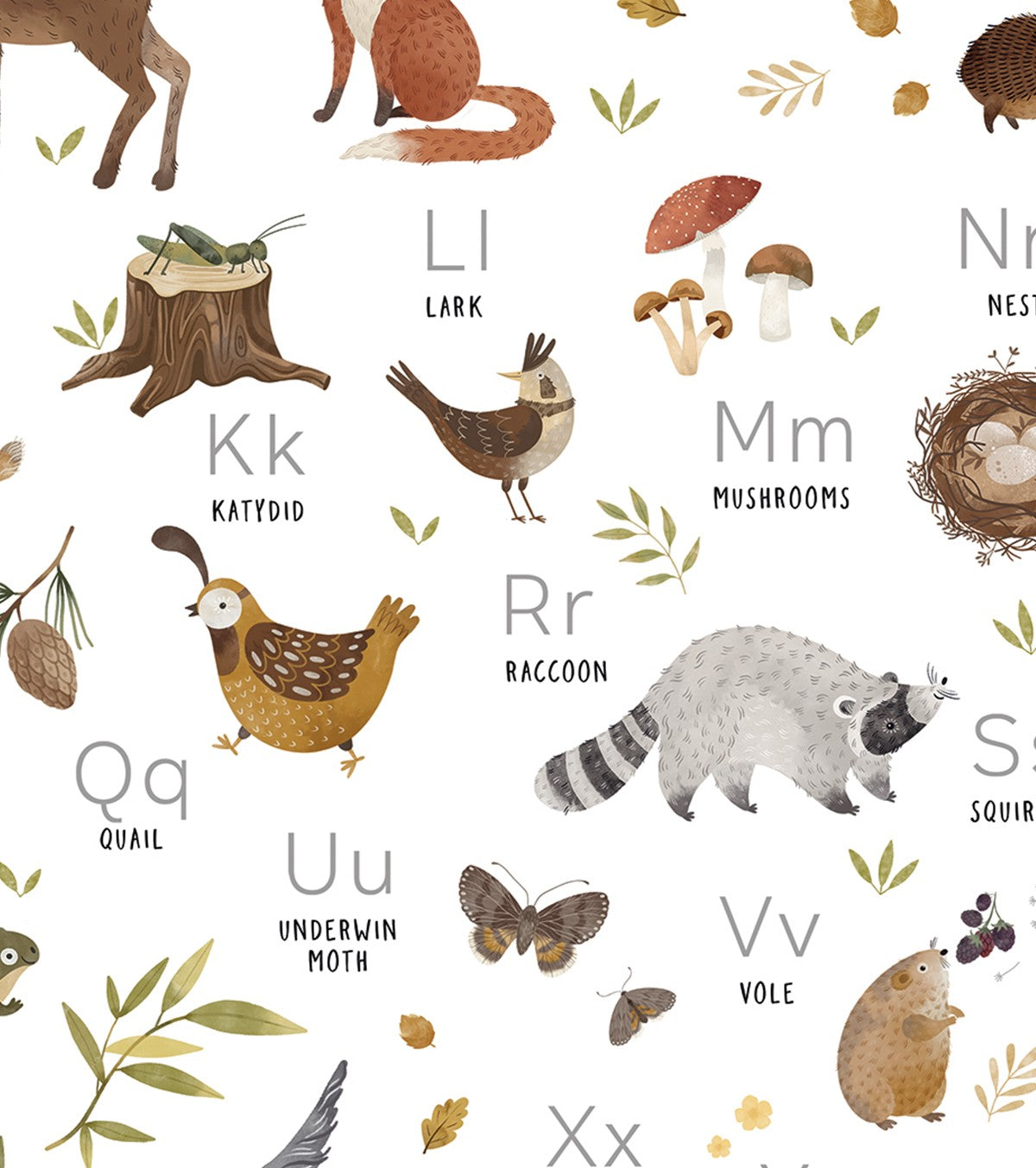 NORWOOD - Poster per bambini - Animali del bosco ABC