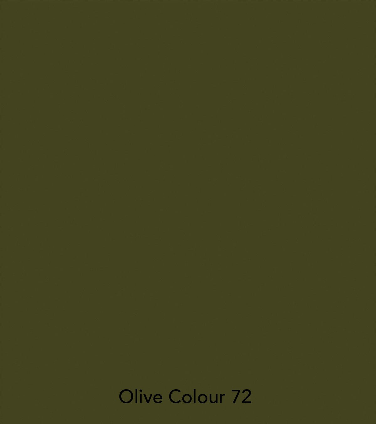 Vernice Little Greene - Oliva scura (72)